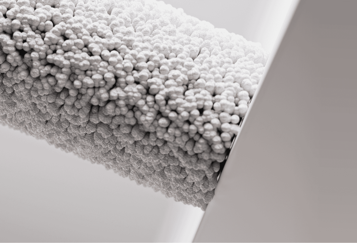 Paveikslėlis skirtas iliustracijai.