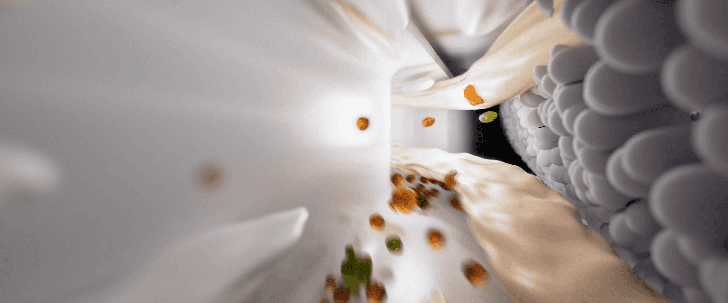 Paveikslėlis skirtas iliustracijai.