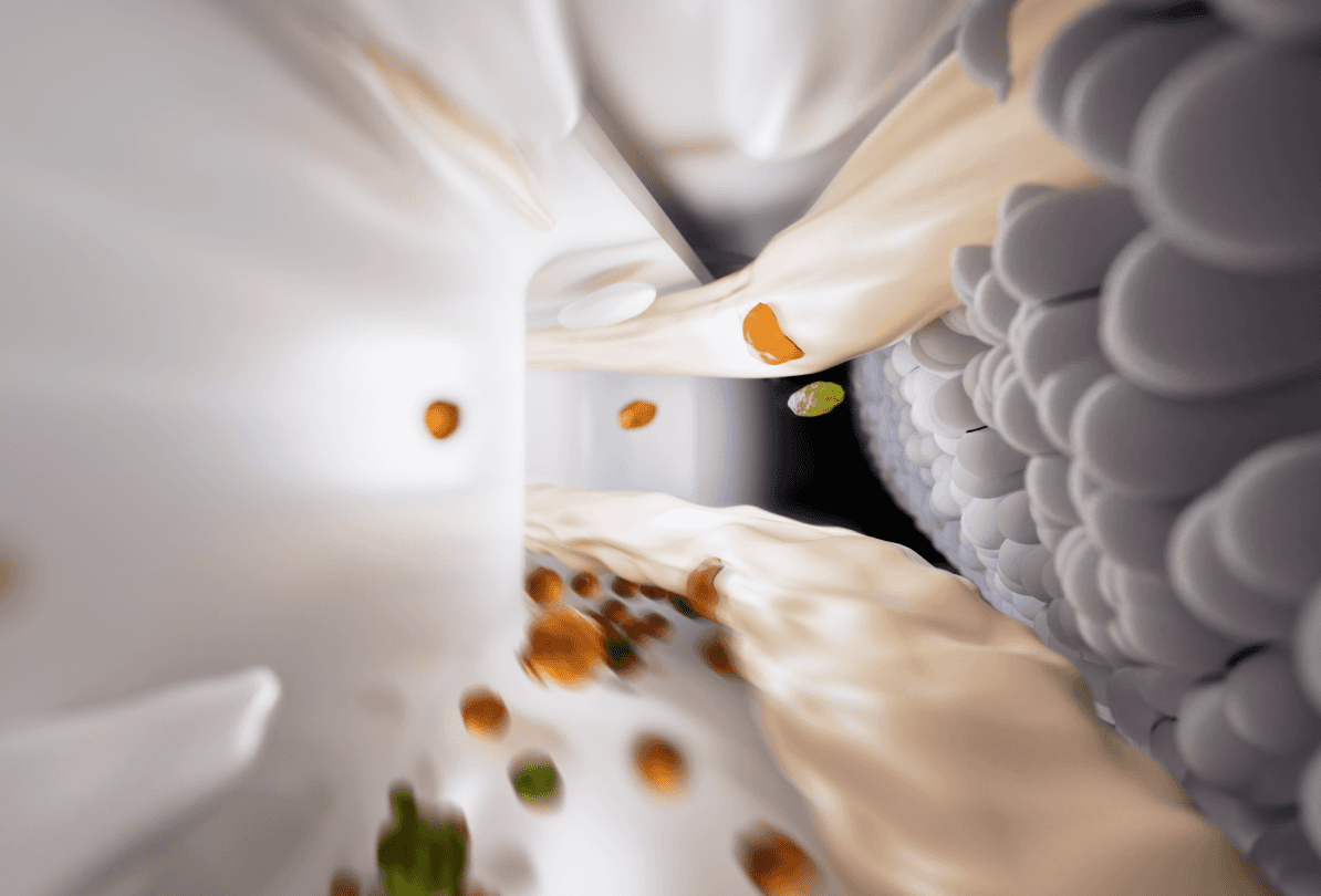 Paveikslėlis skirtas iliustracijai.